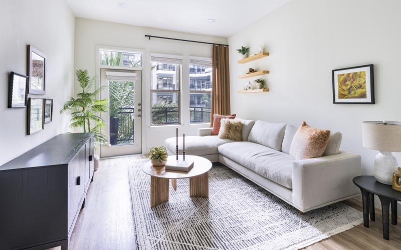 sun filled living room